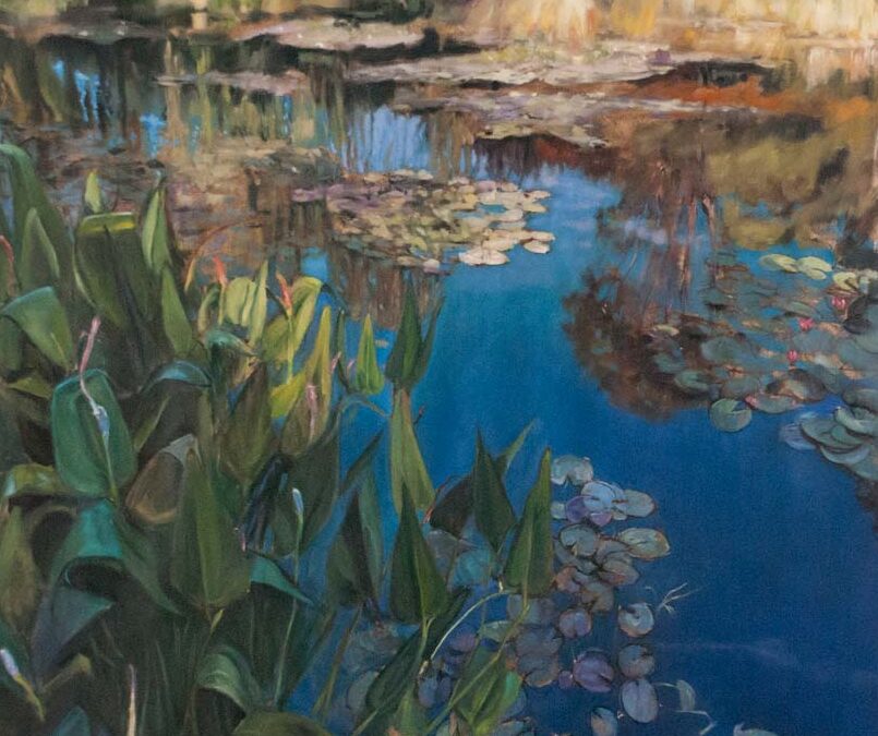 Reflections